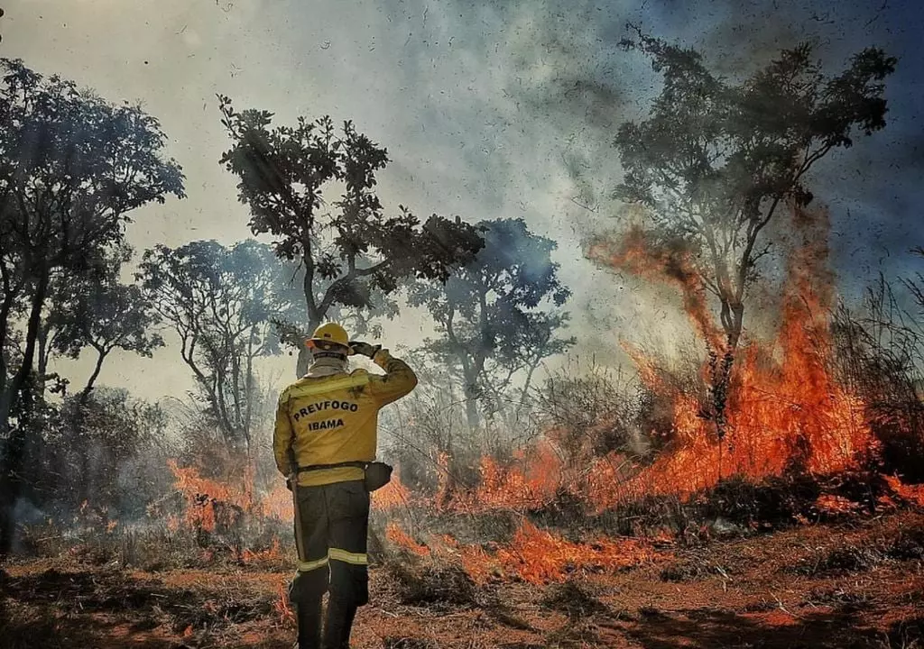 17-mil-focos-de-incencio-brasil-bate-novo-recorde-nos-primeiros-quatro-meses-de-1714768488659_1024